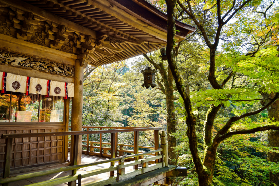 instagram followers japanese